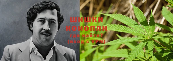 гидра Балабаново