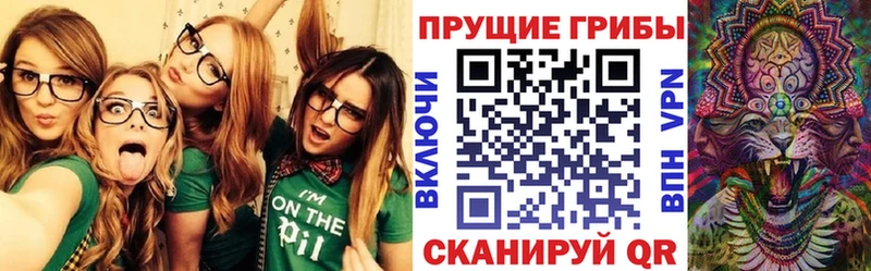 ссылка на мегу зеркало  Белинский  Псилоцибиновые грибы Psilocybine cubensis 
